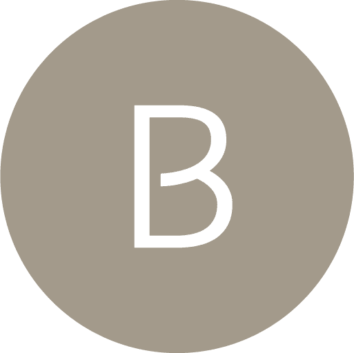 Briis Logo Symbol